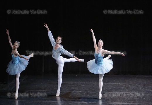 Cie Paris Festival Ballet